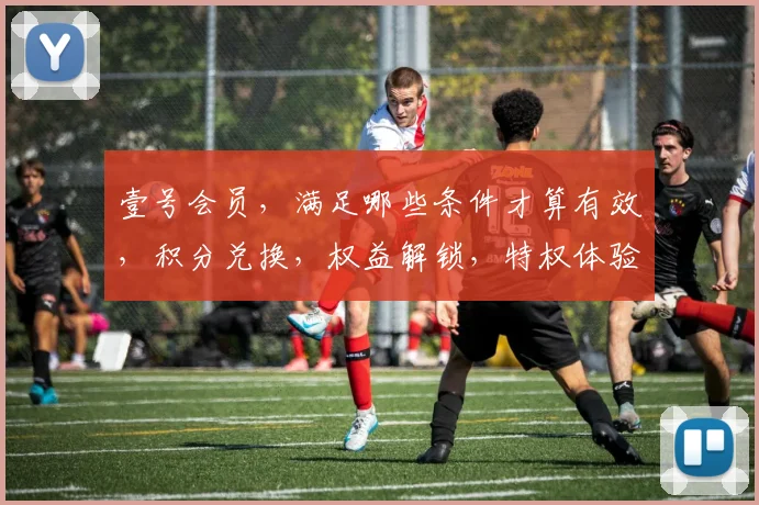 壹号会员，满足哪些条件才算有效，积分兑换，权益解锁，特权体验，一步之遥