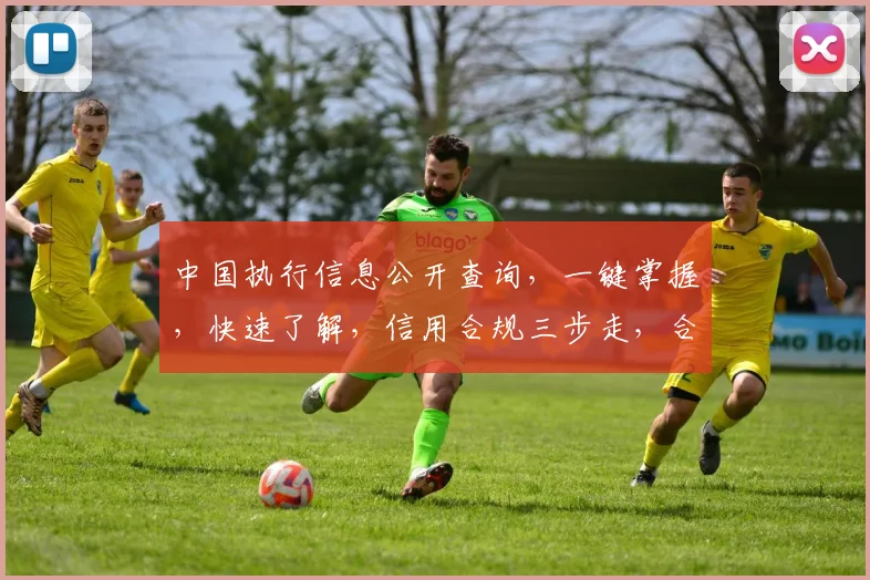中国执行信息公开查询，一键掌握，快速了解，信用合规三步走，合规无忧
