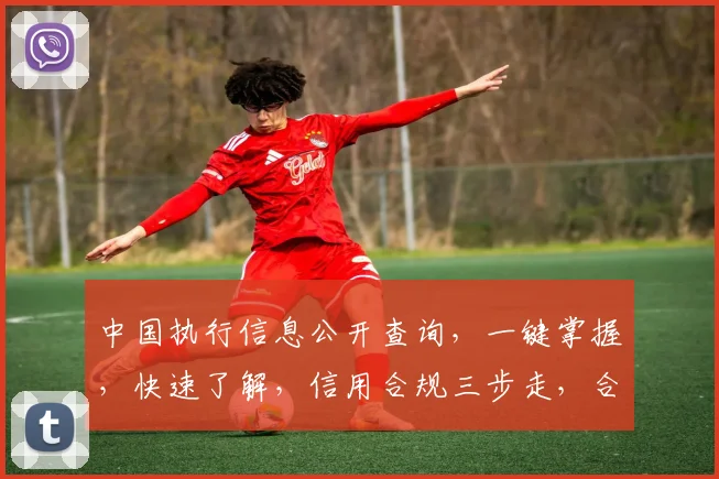 中国执行信息公开查询，一键掌握，快速了解，信用合规三步走，合规无忧